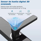 Cerradura Inteligente Wifi