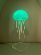 Lampara Mudusa Con Movimiento