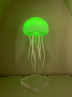 Lampara Mudusa Con Movimiento